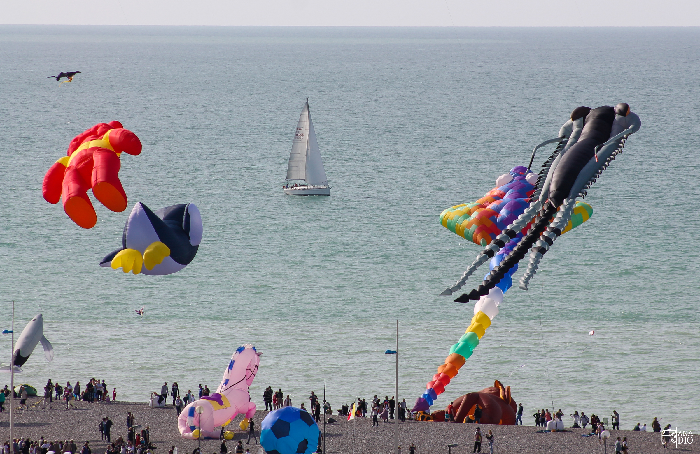 Festival de cerf-volant de Dieppe