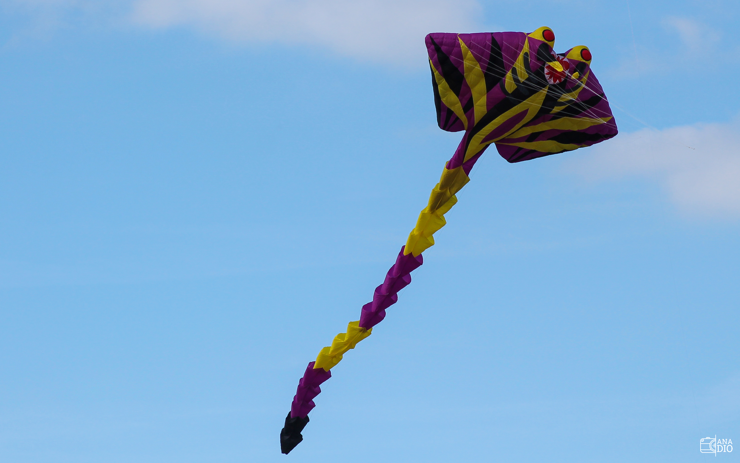 Festival de cerf-volant de Dieppe