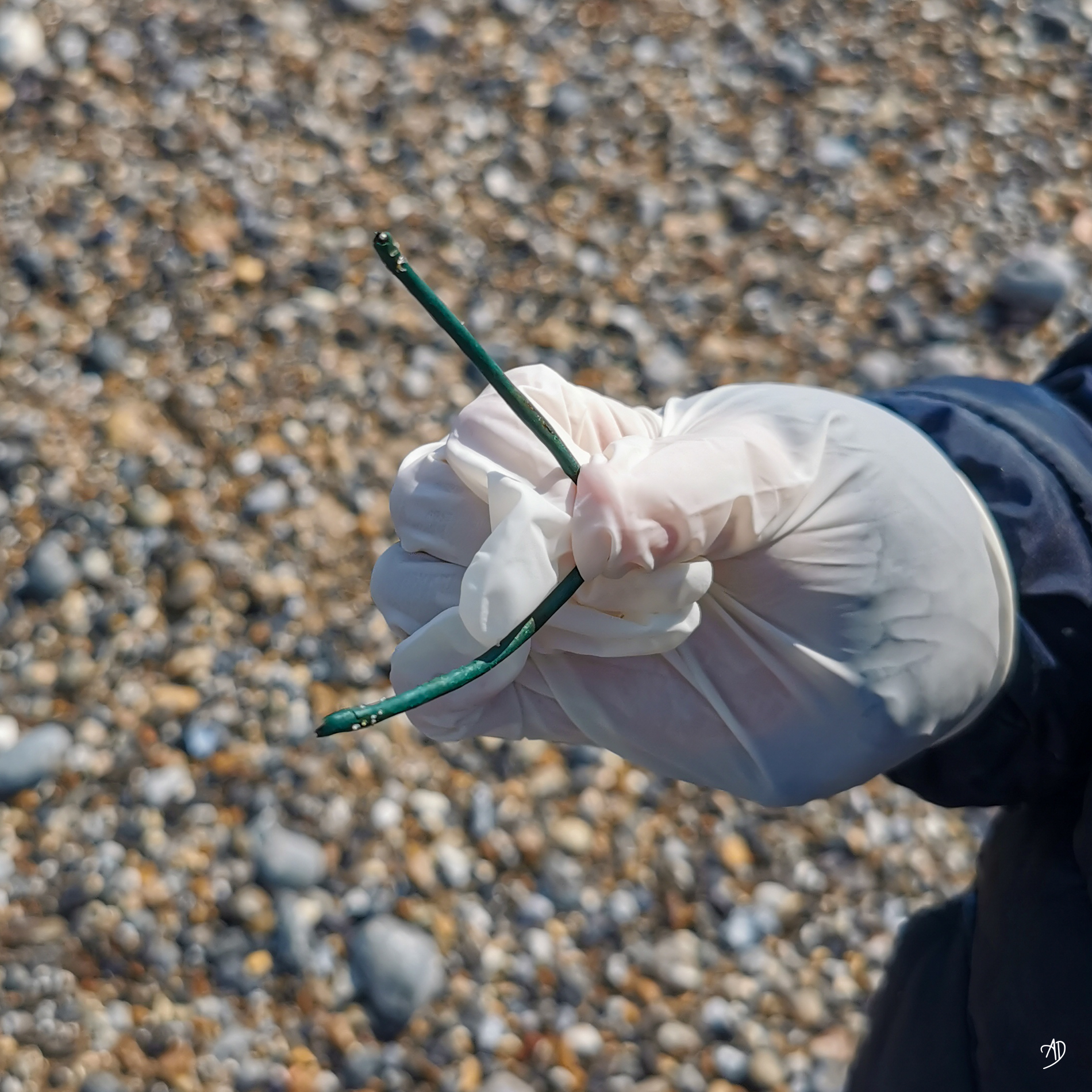 Dieppe - Collecte de déchets