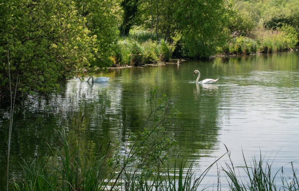 Instant nature à Bouvaincourt-sur-Bresle