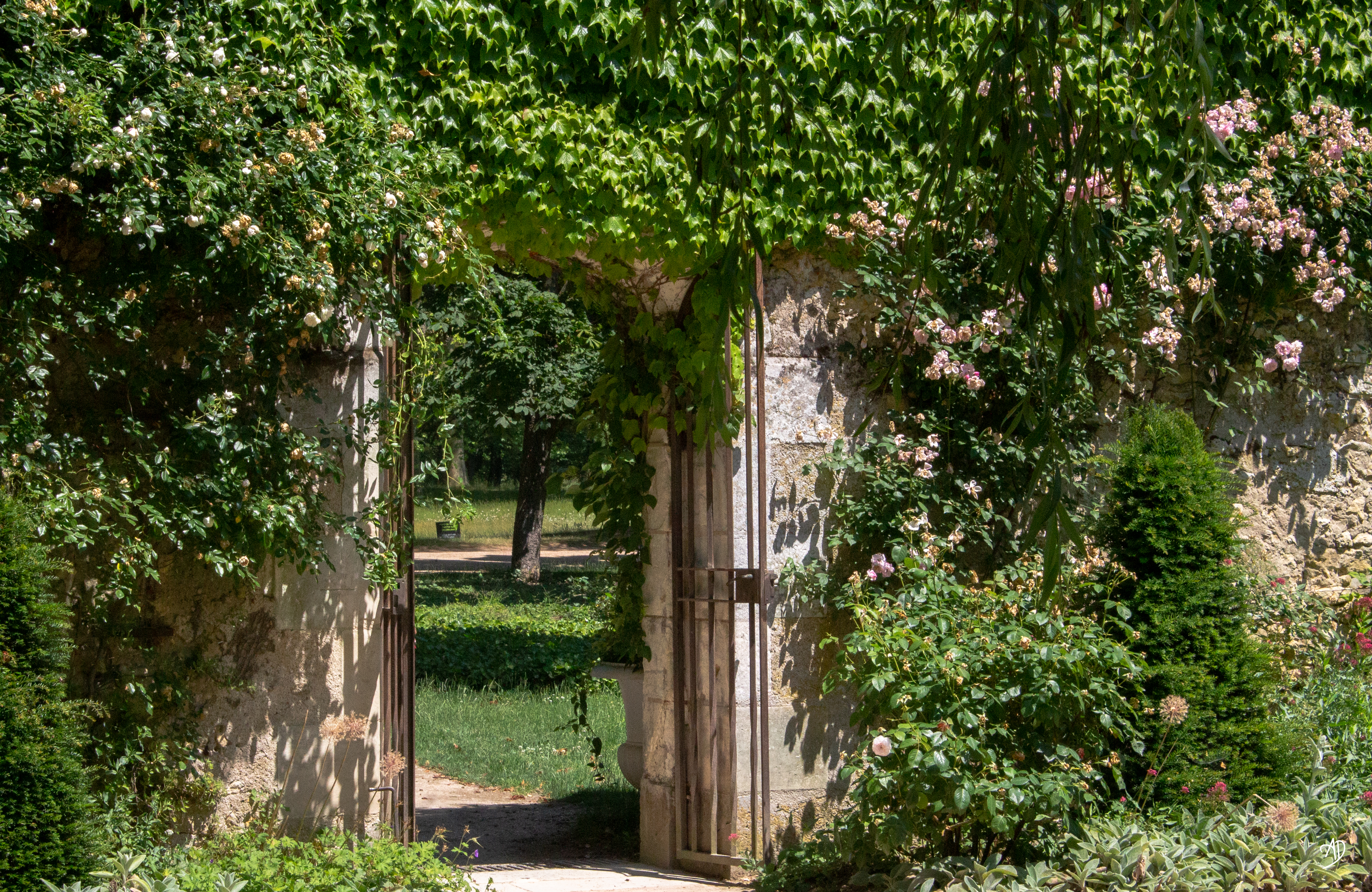 château de Chenonceau © juin 2023