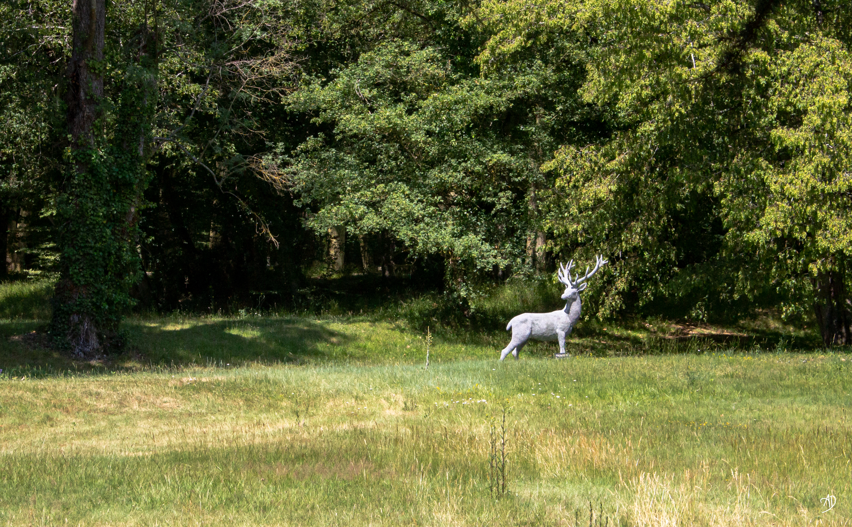 château de Chenonceau © juin 2023