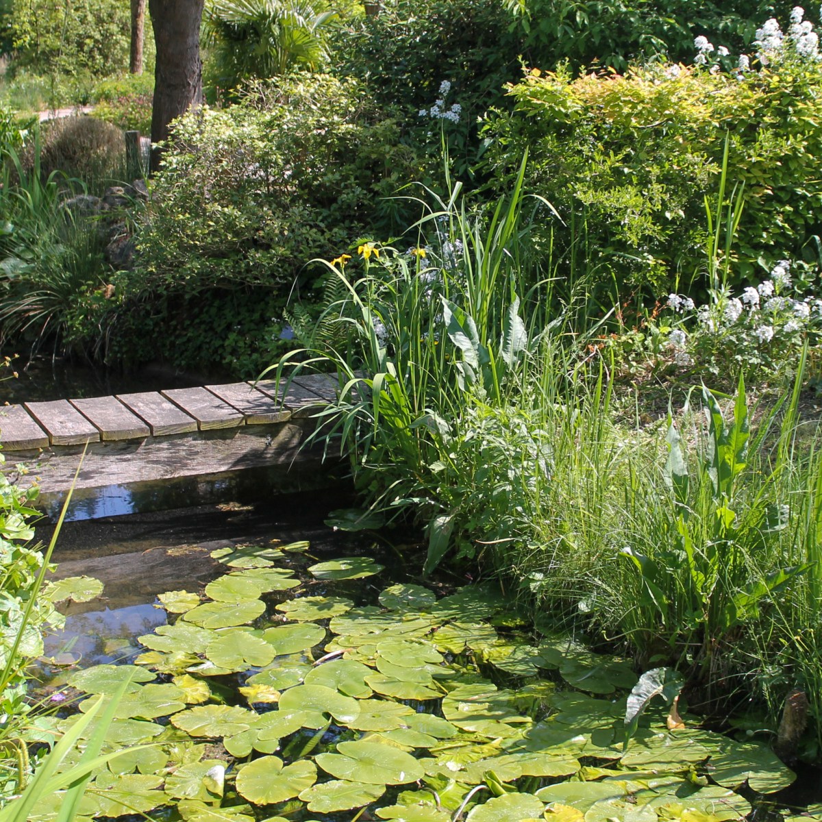 Le jardin des&nbsp;sources