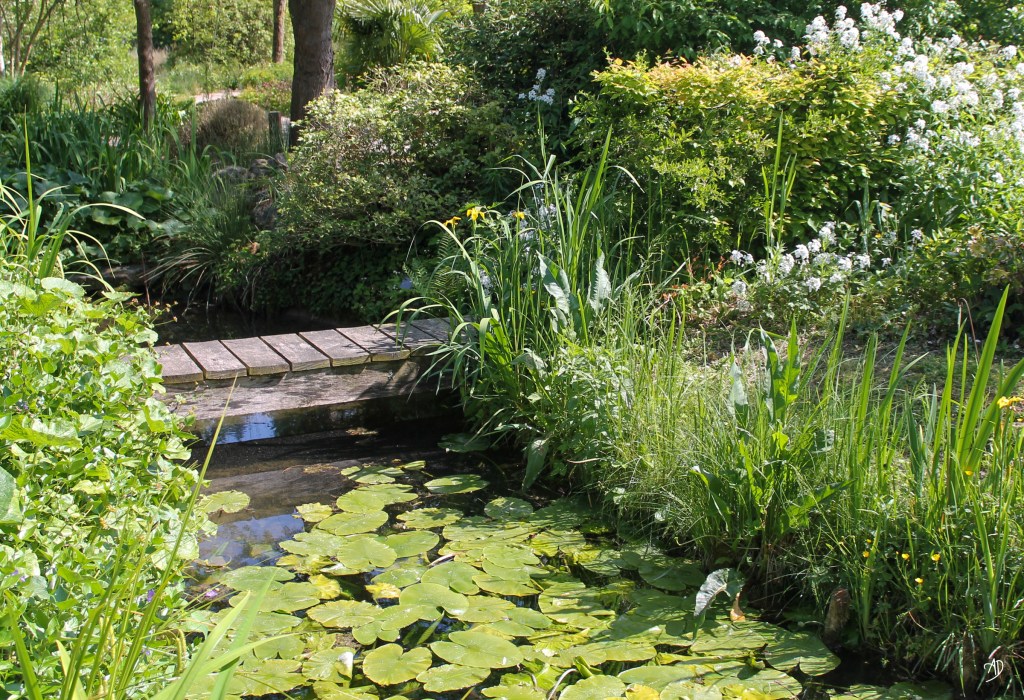 Le jardin des&nbsp;sources