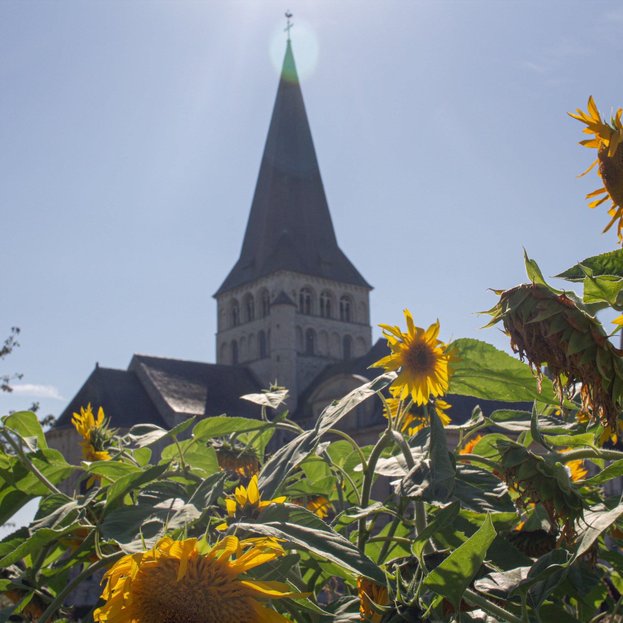 jardin de Boscherville