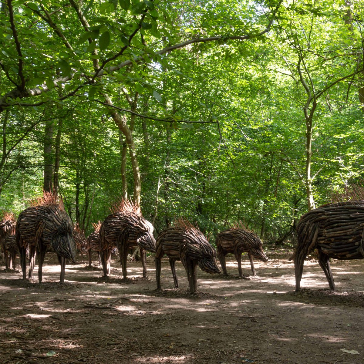 La chronique du jeudi&nbsp;#08