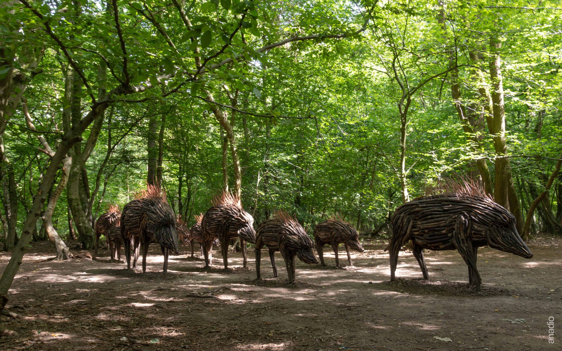 Famille de sangliers dans La Forêt Monumentale