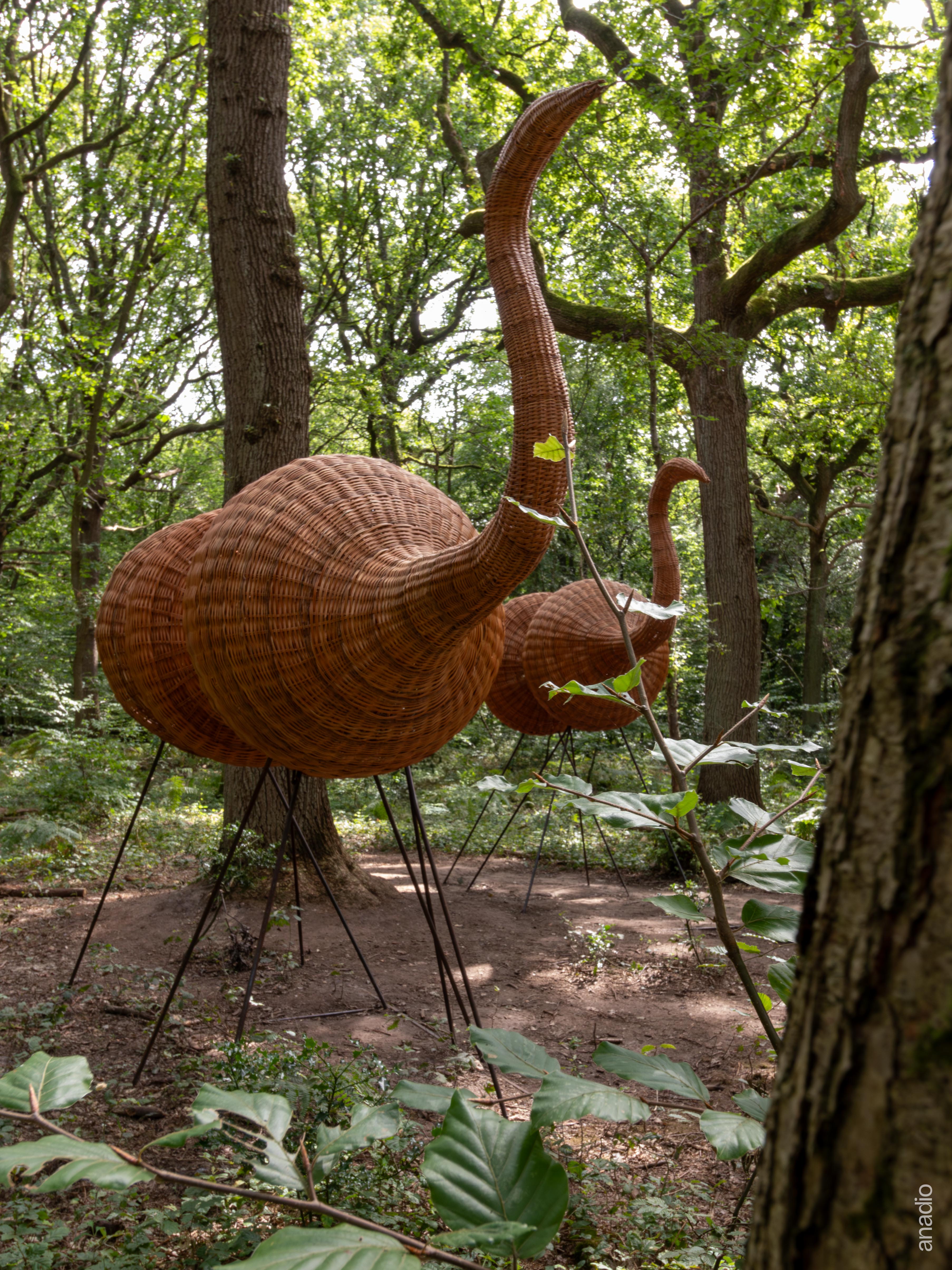 La Forêt Monumentale