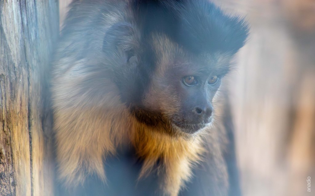 La chronique du jeudi #06