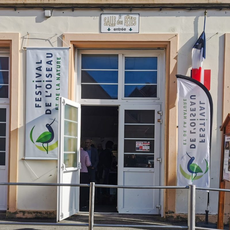 La chronique du jeudi&nbsp;#07