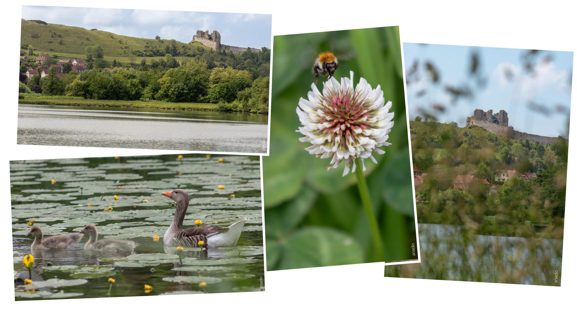 Arques-la-Bataille ©Anaïs Diodore