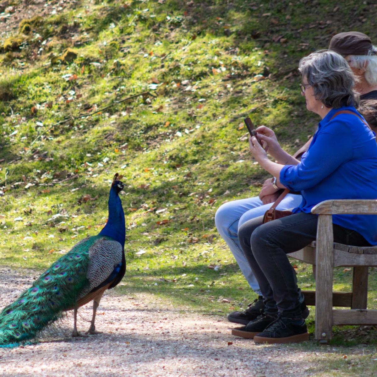 La chronique du jeudi&nbsp;#11