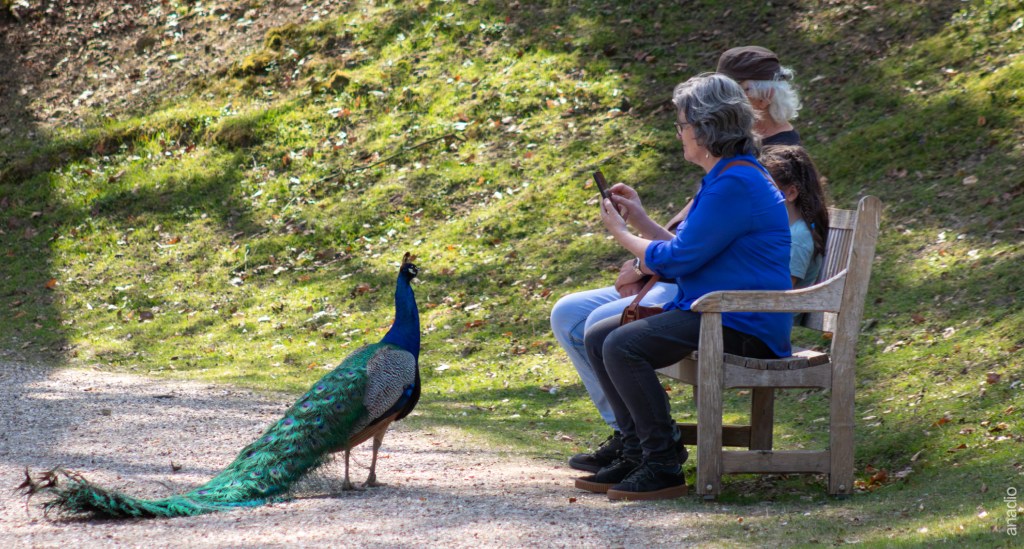 La chronique du jeudi&nbsp;#11