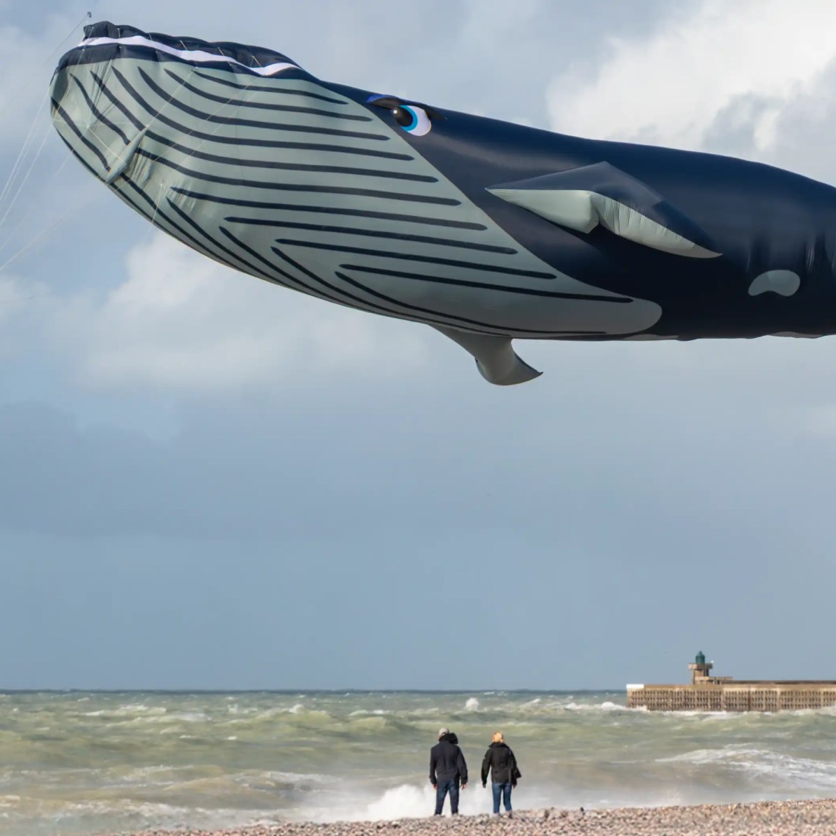 La chronique du jeudi&nbsp;#25