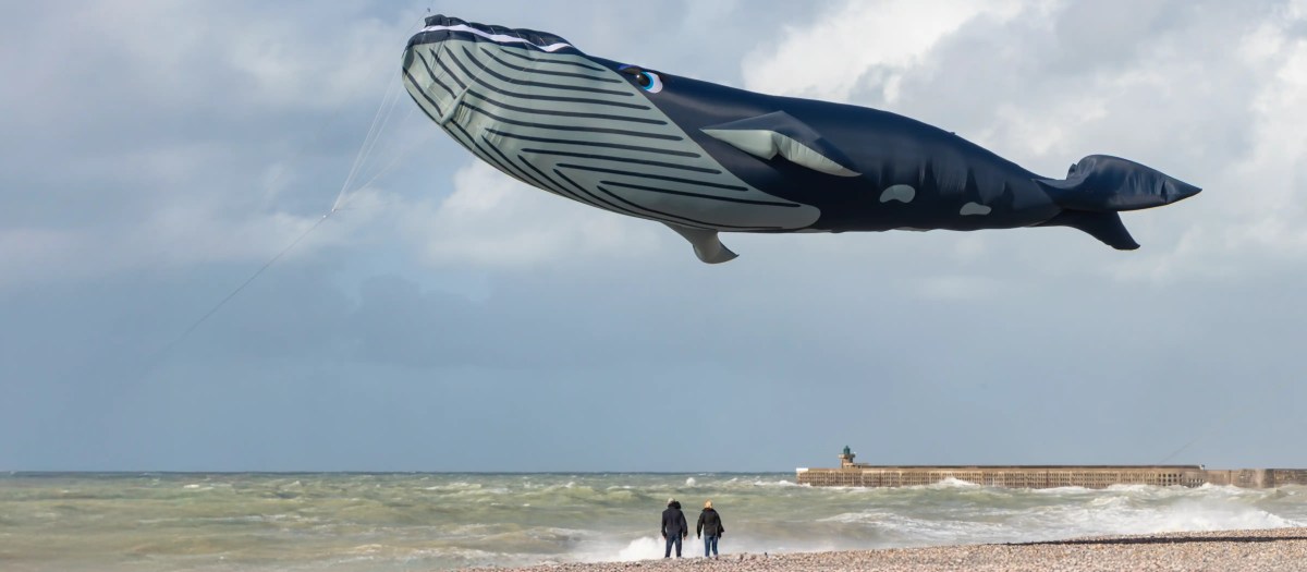 Festival International de Cerfs-volants de&nbsp;Dieppe