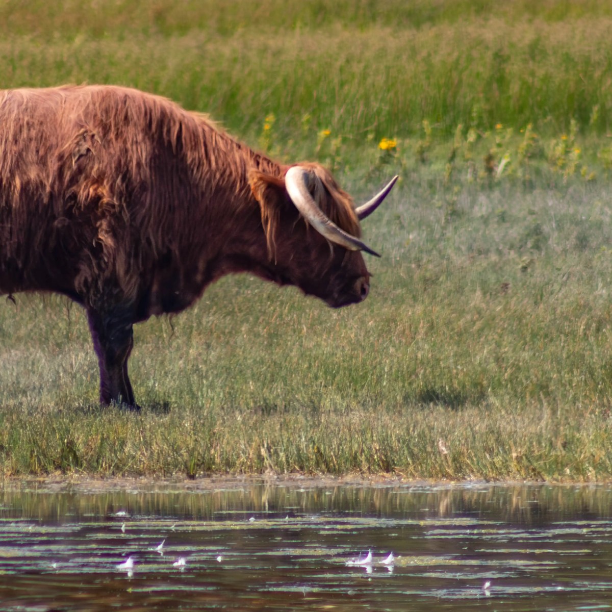 La chronique du jeudi&nbsp;#28