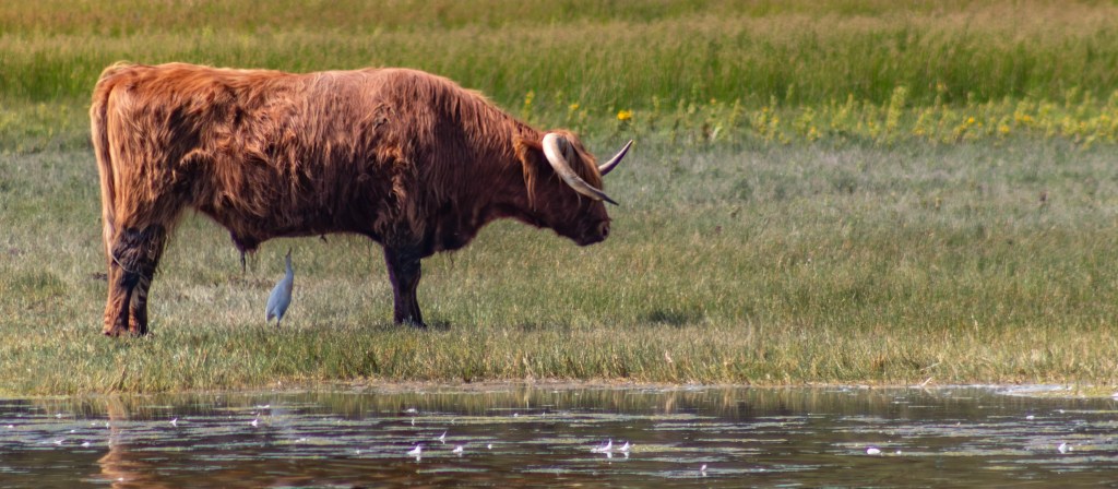 La chronique du jeudi&nbsp;#28