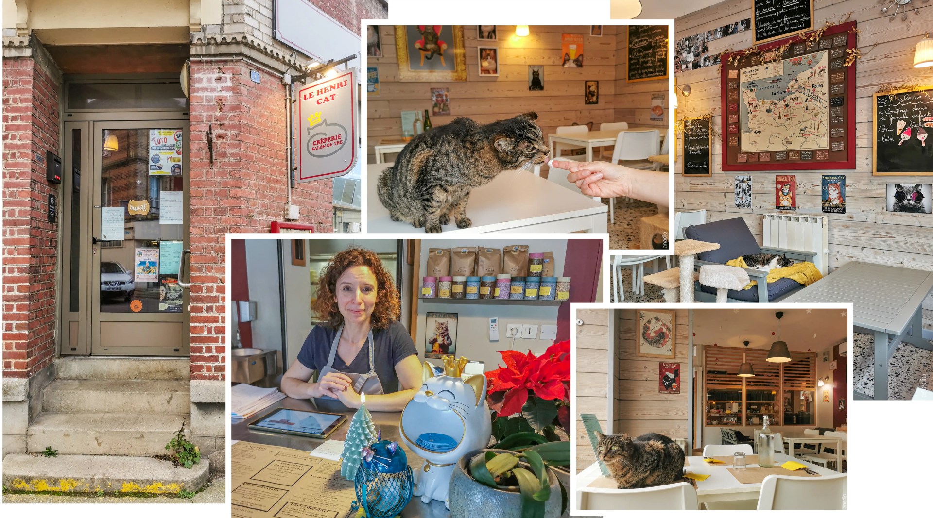 Le Henri cat - crêperie