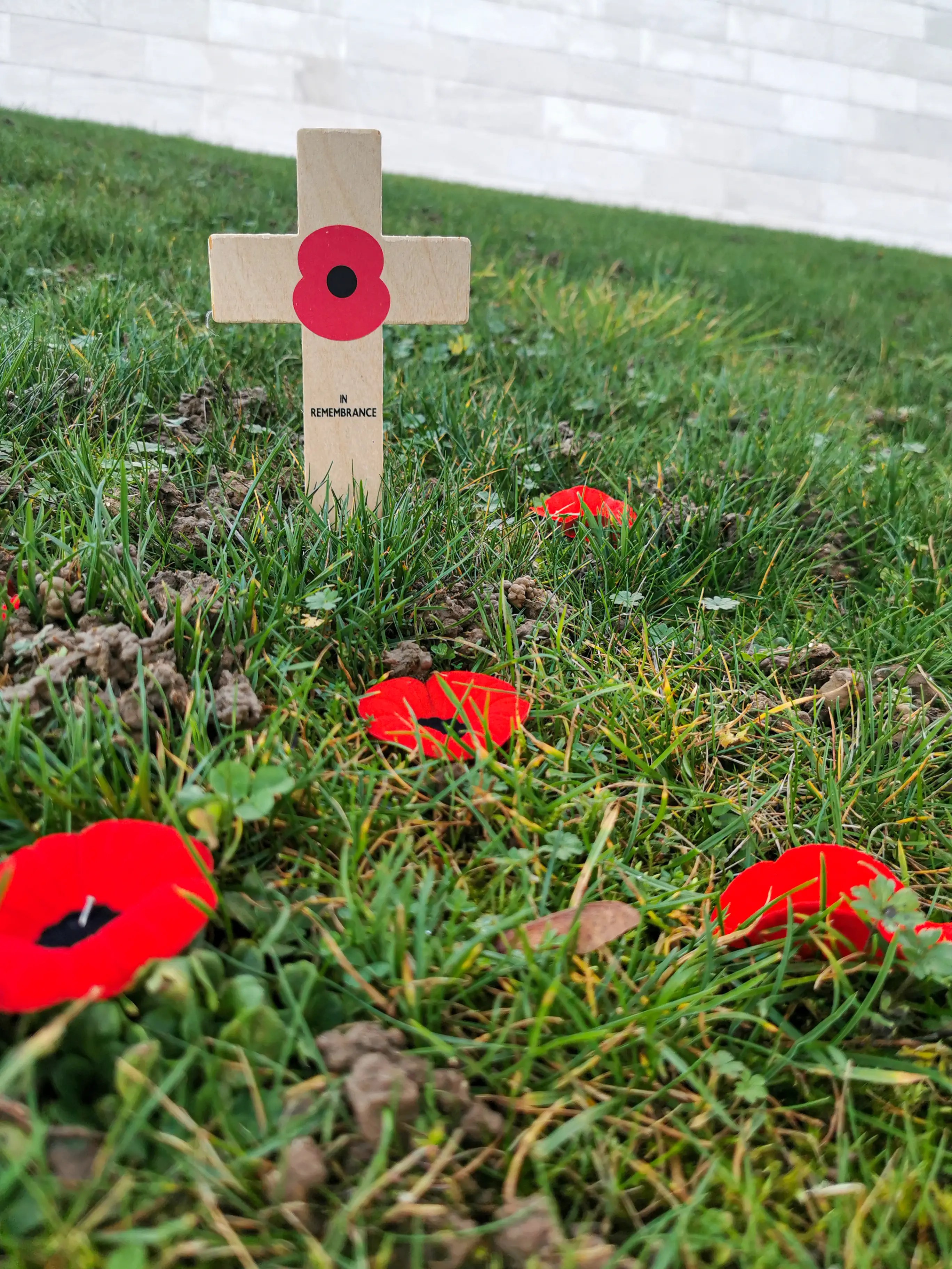 Monument de Vimy © Anaïs Diodore