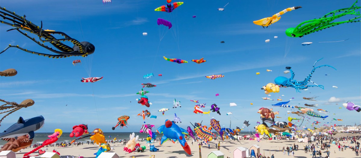 Rendez-vous à Berck-sur-Mer