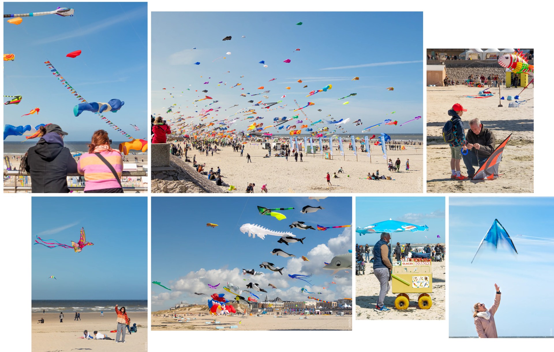 Rencontres cerfs volants Berck sur Mer © Anaïs Diodore