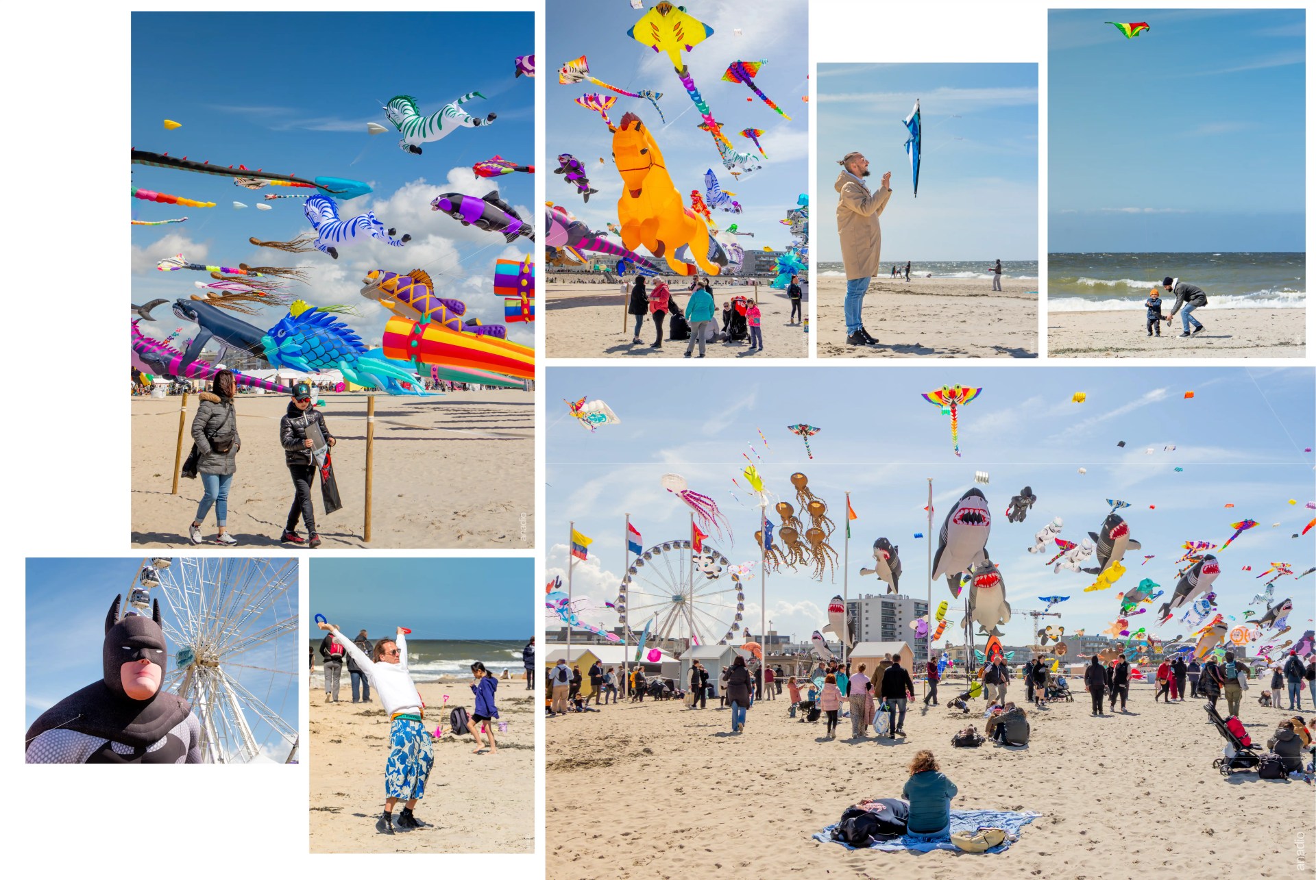 Rencontres cerfs volants Berck sur Mer © Anaïs Diodore