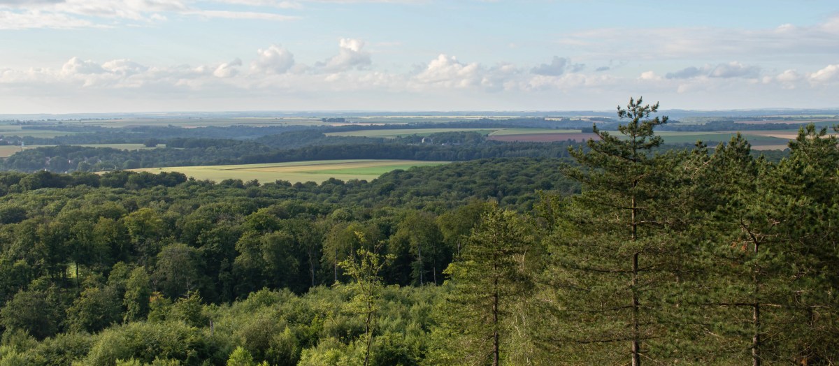 La tour Mangin, en forêt de&nbsp;Retz