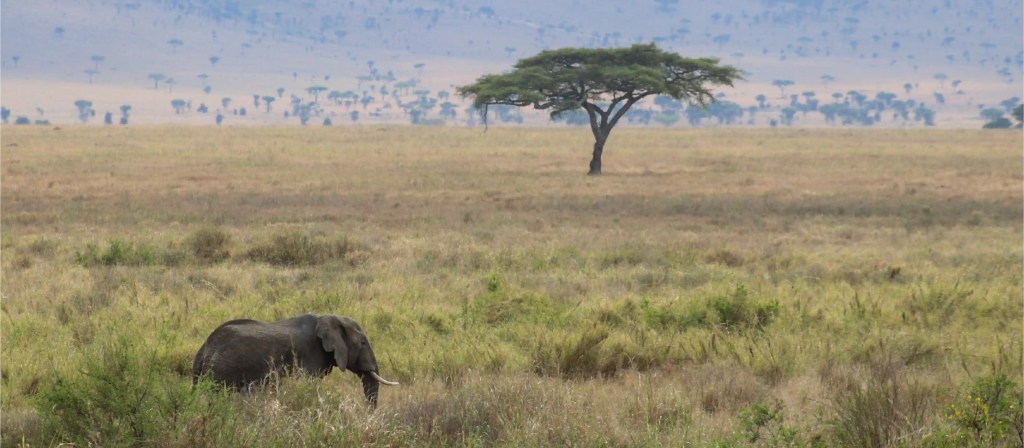 Tanzanie : notre guide complet avant de&nbsp;partir